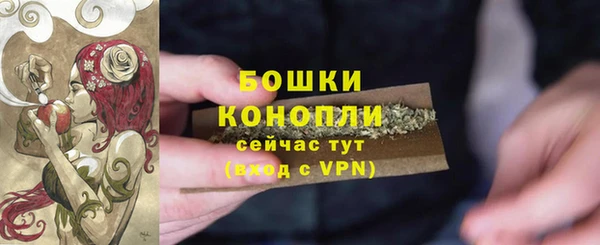 дурь Нягань