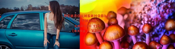 дурь Нягань