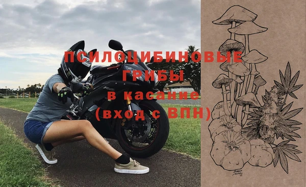 дурь Нягань