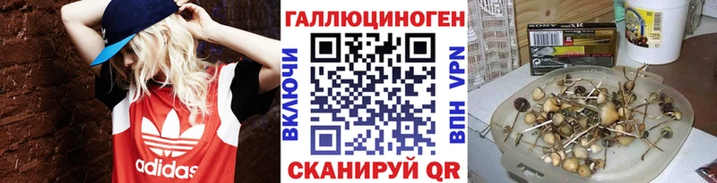 как найти наркотики  Майкоп  Галлюциногенные грибы GOLDEN TEACHER 