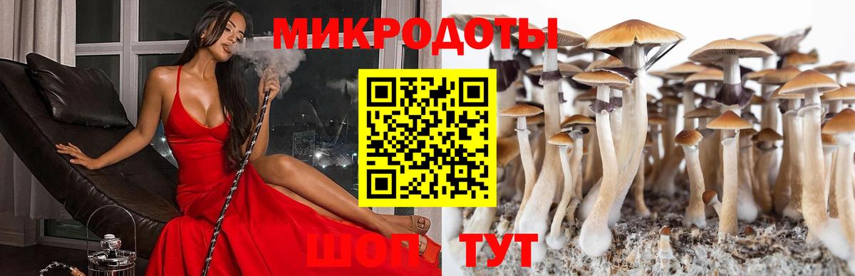Псилоцибиновые грибы Cubensis  Вход с VPN  Галлюциногенные грибы прущие грибы  магазин  наркотиков  Майкоп 