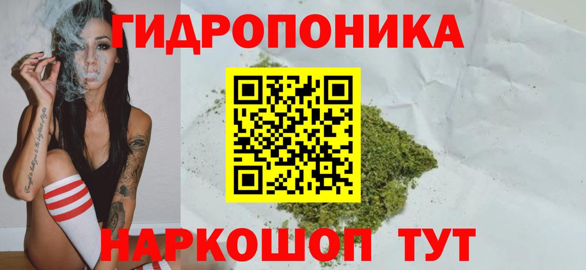 Псилоцибиновые грибы Майкоп